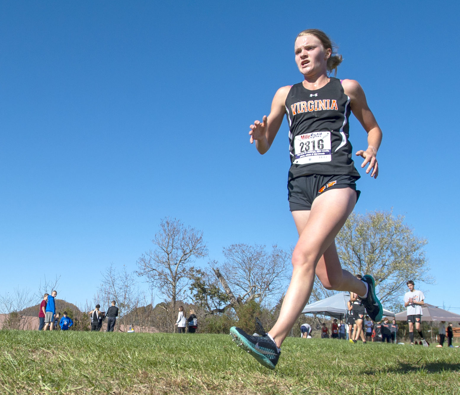 Region 2D Cross Country Championships